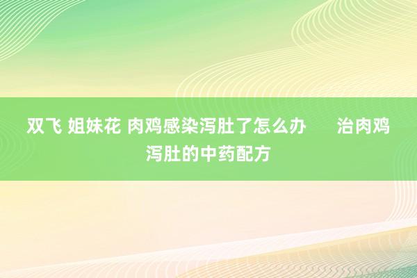 双飞 姐妹花 肉鸡感染泻肚了怎么办      治肉鸡泻肚的中药配方