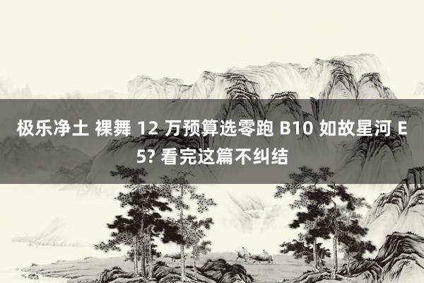 极乐净土 裸舞 12 万预算选零跑 B10 如故星河 E5? 看完这篇不纠结