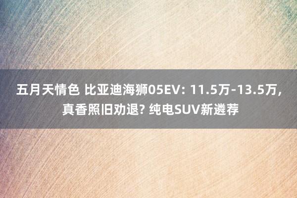 五月天情色 比亚迪海狮05EV: 11.5万-13.5万， 真香照旧劝退? 纯电SUV新遴荐