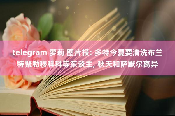 telegram 萝莉 图片报: 多特今夏要清洗布兰特聚勒穆科科等东谈主， 秋天和萨默尔离异