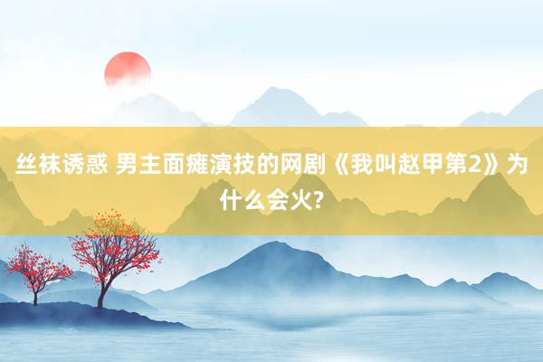 丝袜诱惑 男主面瘫演技的网剧《我叫赵甲第2》为什么会火?