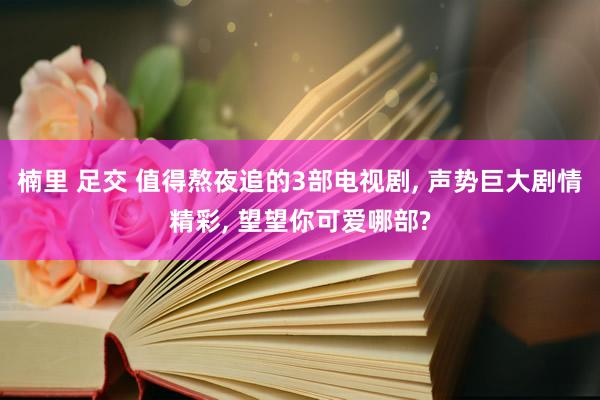 楠里 足交 值得熬夜追的3部电视剧， 声势巨大剧情精彩， 望望你可爱哪部?
