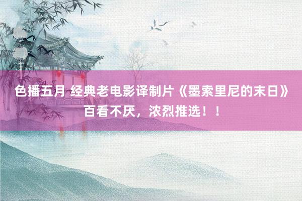 色播五月 经典老电影译制片《墨索里尼的末日》百看不厌，浓烈推选！！