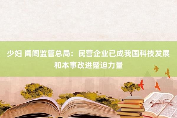 少妇 阛阓监管总局：民营企业已成我国科技发展和本事改进蹙迫力量